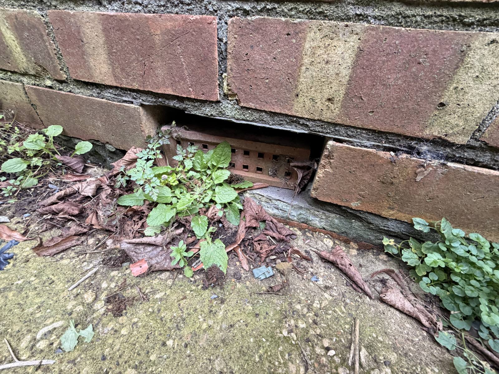 Partially obstructed air brick affecting sub-floor ventilation during a Birmingham home survey