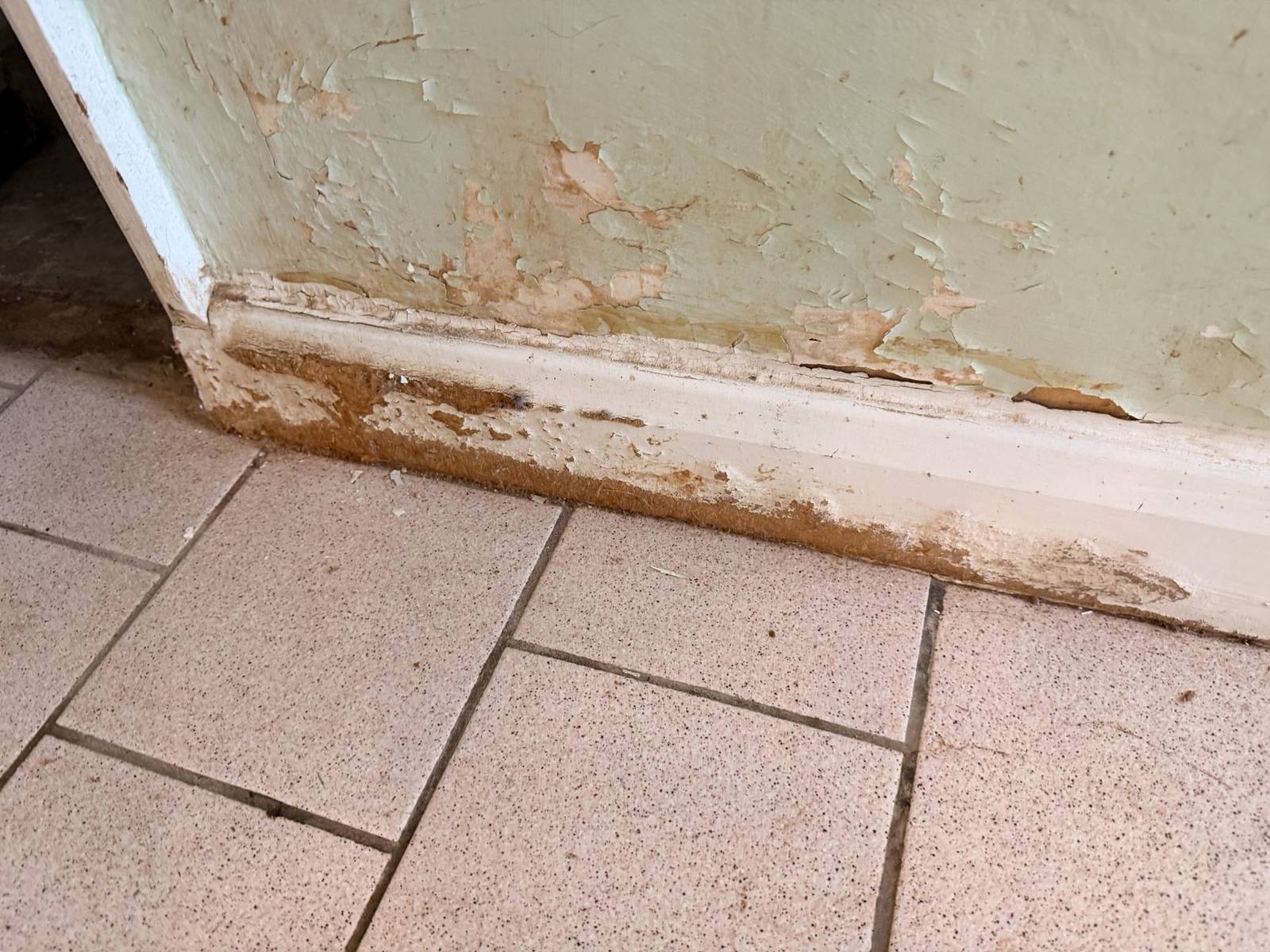 Minor ceiling cracking identified during a Level 2 Home Survey in Birmingham