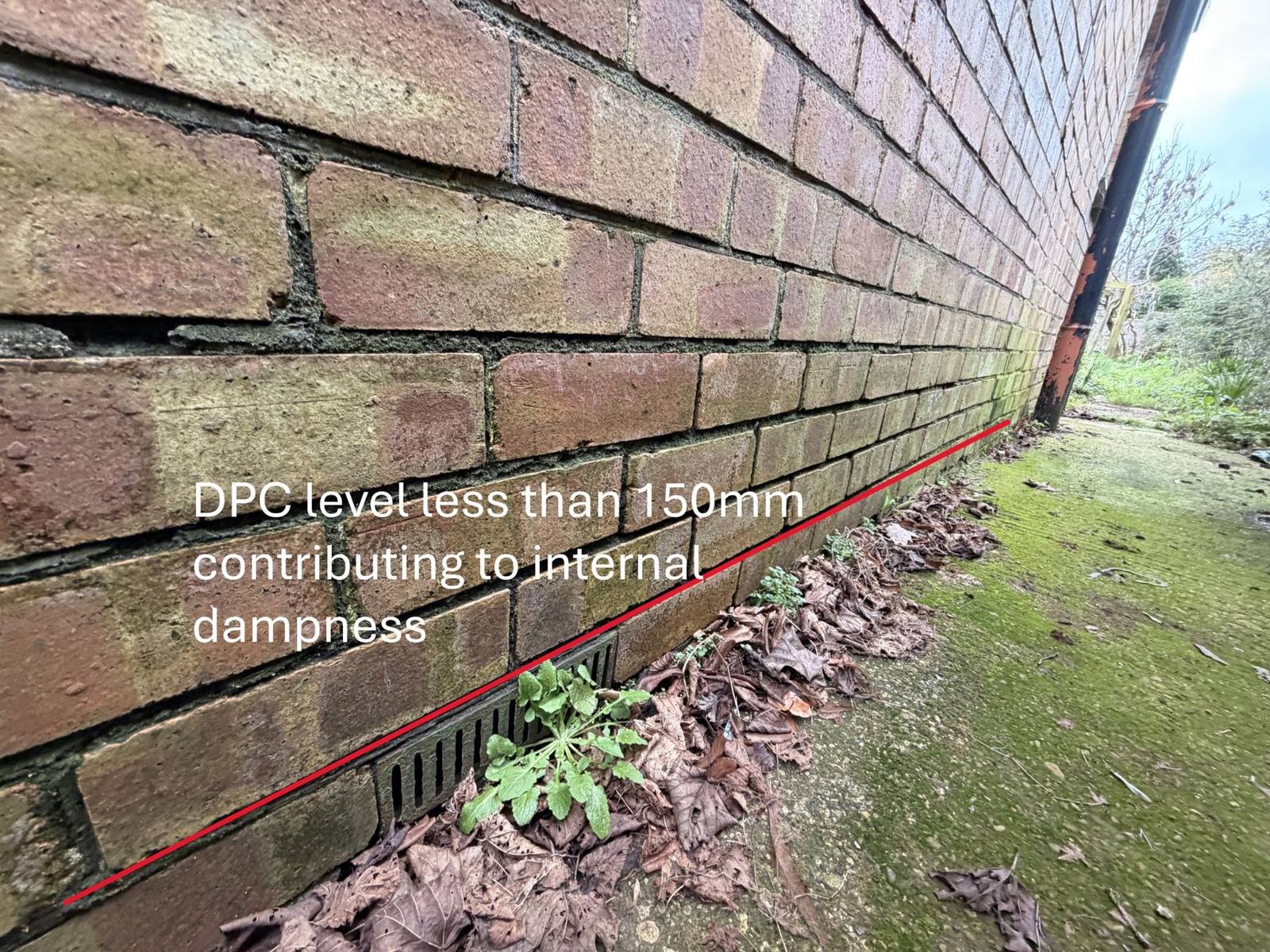 Raised external ground level close to damp proof course on a Birmingham terraced house